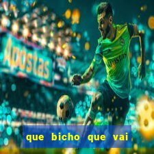 que bicho que vai dar hoje